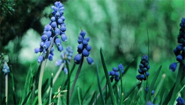 Picture84