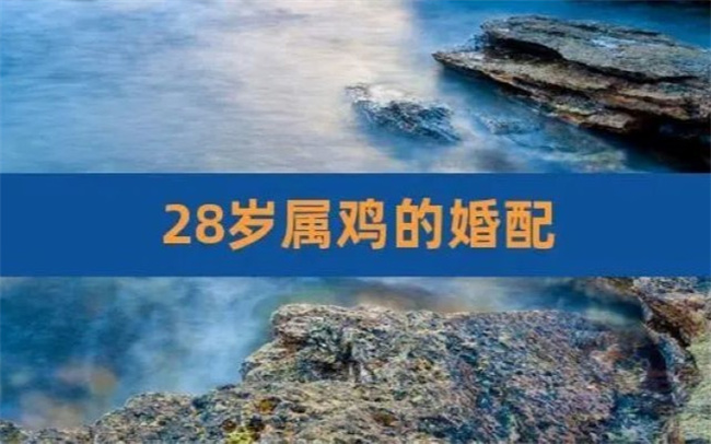 屬雞女性格怎么樣，她們的最佳婚配對(duì)象是什么