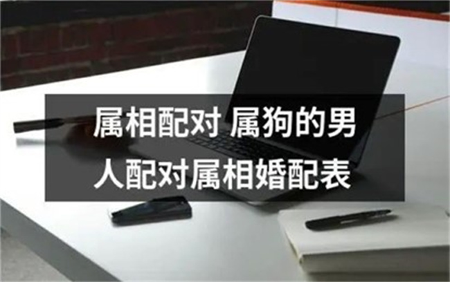 屬狗的性格特征是什么，和什么屬相的婚配指數(shù)最高