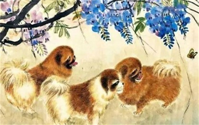 屬狗的性格特征是什么，和什么屬相的婚配指數(shù)最高