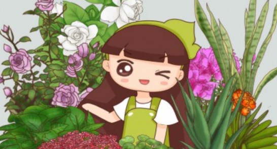 室內養(yǎng)什么花最好 室內十大吉祥花