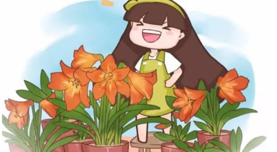 風水中屋內(nèi)養(yǎng)什么花最好 屋內(nèi)風水吉祥花推薦