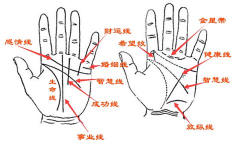 擁有這種手掌紋路的女人，一輩子不缺錢的命！你屬于嗎？