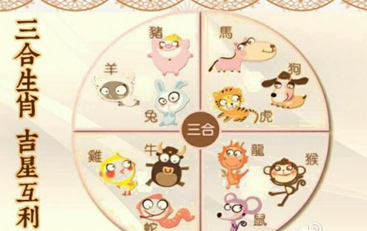 生肖運程:屬雞人的逐月運程