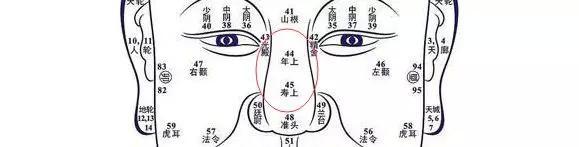 面相:從女人鼻子看婚姻和財運