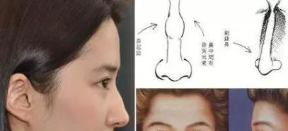 面相:從女人鼻子看婚姻和財運